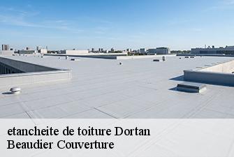 etancheite de toiture  dortan-01590 Beaudier Couverture 