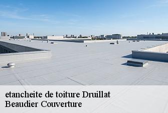 etancheite de toiture  druillat-01160 Beaudier Couverture 
