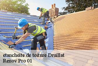 etancheite de toiture  druillat-01160 Renov Pro 01