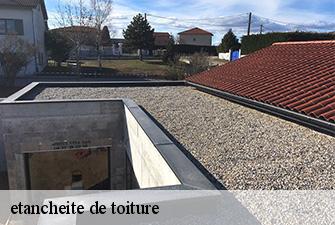 etancheite de toiture  druillat-01160 Renov Pro 01