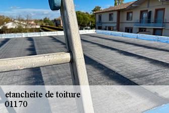 etancheite de toiture  echenevex-01170 Renov Pro 01