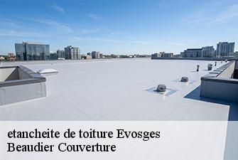 etancheite de toiture  evosges-01230 Beaudier Couverture 