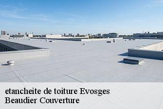 etancheite de toiture  evosges-01230 Beaudier Couverture 