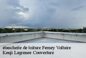 etancheite de toiture ferney-voltaire-01210 Kenji Lagrenee Couverture