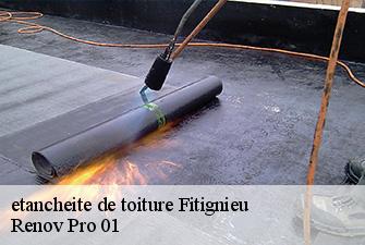etancheite de toiture  fitignieu-01260 Renov Pro 01