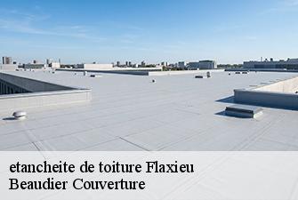 etancheite de toiture  flaxieu-01350 Beaudier Couverture 