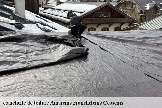 etancheite de toiture  amareins-francheleins-cesseins-01090 