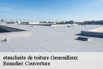 etancheite de toiture  genouilleux-01090 Beaudier Couverture 