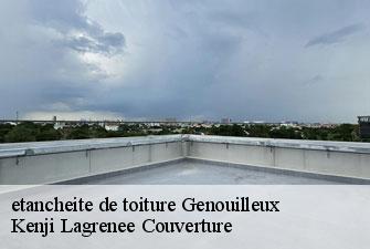 etancheite de toiture genouilleux-01090 Kenji Lagrenee Couverture