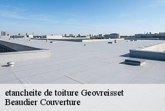 etancheite de toiture  geovreisset-01100 Beaudier Couverture 