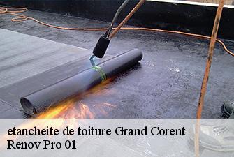etancheite de toiture  grand-corent-01250 Renov Pro 01