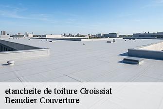 etancheite de toiture  groissiat-01810 Beaudier Couverture 