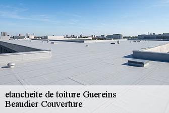 etancheite de toiture  guereins-01090 Beaudier Couverture 