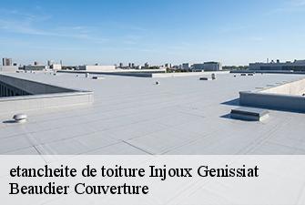 etancheite de toiture  injoux-genissiat-01200 Beaudier Couverture 