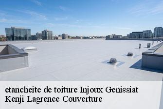 etancheite de toiture injoux-genissiat-01200 Kenji Lagrenee Couverture