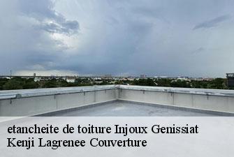 etancheite de toiture injoux-genissiat-01200 Kenji Lagrenee Couverture