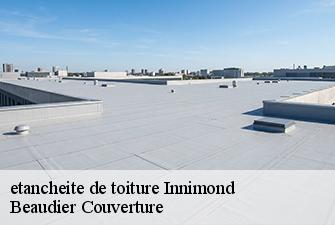 etancheite de toiture  innimond-01680 Beaudier Couverture 