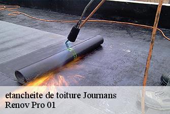 etancheite de toiture  journans-01250 Renov Pro 01