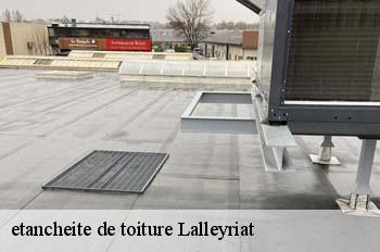 etancheite de toiture  lalleyriat-01130 