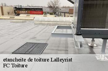 etancheite de toiture  lalleyriat-01130 