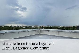 etancheite de toiture leyment-01150 Kenji Lagrenee Couverture
