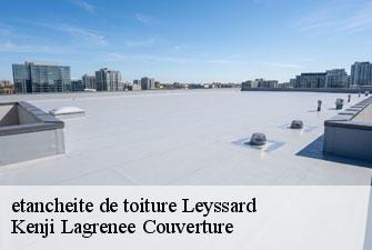 etancheite de toiture  leyssard-01450 Kenji Lagrenee Couverture