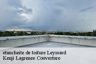 etancheite de toiture  leyssard-01450 Kenji Lagrenee Couverture