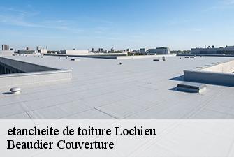 etancheite de toiture  lochieu-01260 Beaudier Couverture 