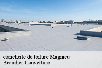 etancheite de toiture  magnieu-01300 Beaudier Couverture 