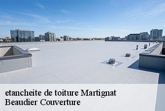 etancheite de toiture  martignat-01810 Beaudier Couverture 