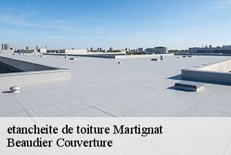 etancheite de toiture  martignat-01810 Beaudier Couverture 