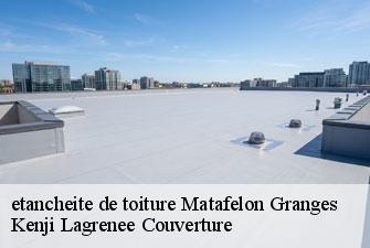 etancheite de toiture matafelon-granges-01580 Kenji Lagrenee Couverture