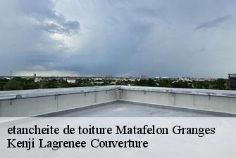etancheite de toiture matafelon-granges-01580 Kenji Lagrenee Couverture