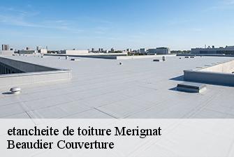 etancheite de toiture  merignat-01450 Beaudier Couverture 