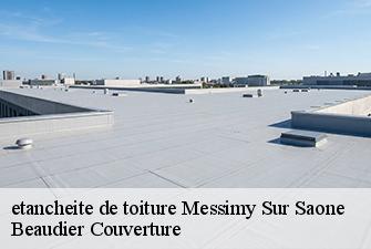 etancheite de toiture  messimy-sur-saone-01480 Beaudier Couverture 