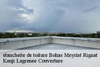 etancheite de toiture  bohas-meyriat-rignat-01250 Kenji Lagrenee Couverture