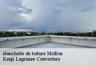 etancheite de toiture  mollon-01800 Kenji Lagrenee Couverture