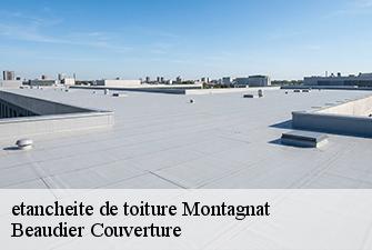 etancheite de toiture  montagnat-01250 Beaudier Couverture 