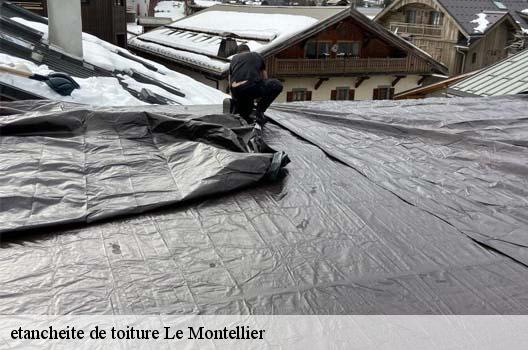 etancheite de toiture  le-montellier-01800 