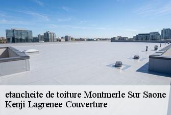 etancheite de toiture montmerle-sur-saone-01090 Kenji Lagrenee Couverture