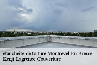 etancheite de toiture  montrevel-en-bresse-01340 Kenji Lagrenee Couverture