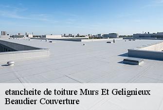 etancheite de toiture  murs-et-gelignieux-01300 Beaudier Couverture 