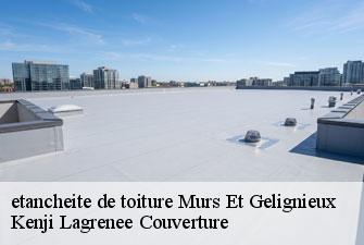 etancheite de toiture murs-et-gelignieux-01300 Kenji Lagrenee Couverture