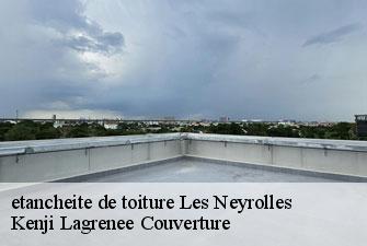 etancheite de toiture les-neyrolles-01130 Kenji Lagrenee Couverture