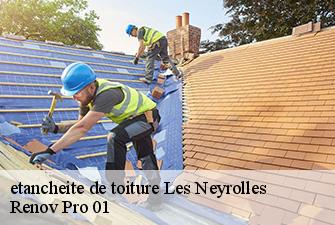 etancheite de toiture  les-neyrolles-01130 Renov Pro 01