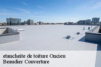 etancheite de toiture  oncieu-01230 Beaudier Couverture 