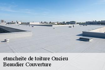 etancheite de toiture  oncieu-01230 Beaudier Couverture 