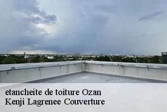 etancheite de toiture ozan-01190 Kenji Lagrenee Couverture