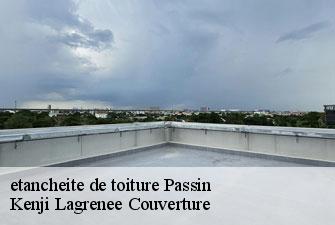 etancheite de toiture  passin-01260 Kenji Lagrenee Couverture