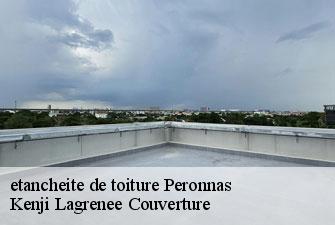 etancheite de toiture  peronnas-01960 Kenji Lagrenee Couverture
